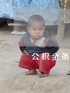 公积金条例再修订 公积金条例再修订