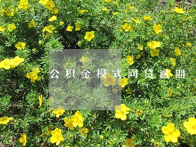 公积金模式网贷逾期