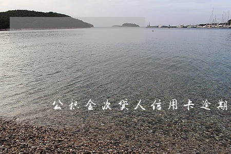 公积金次贷人信用卡逾期 公积金次贷人信用卡逾期