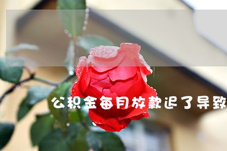 公积金每月放款迟了导致银行逾期