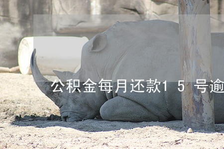 公积金每月还款15号逾期怎么办 公积金每月还款15号逾期怎么办