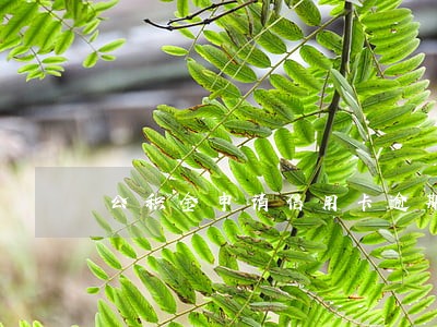 公积金申请信用卡逾期 公积金申请信用卡逾期
