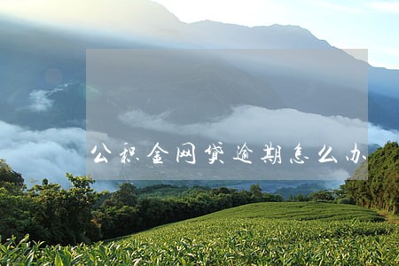 公积金网贷逾期怎么办 公积金网贷逾期怎么办