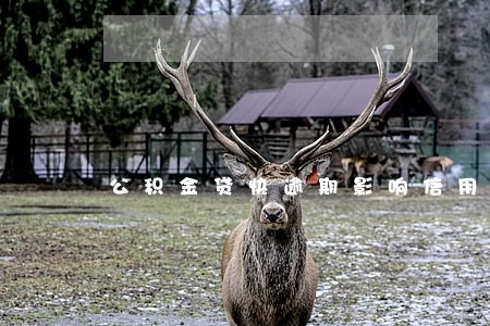公积金贷快逾期影响信用记录吗 公积金贷快逾期影响信用记录吗