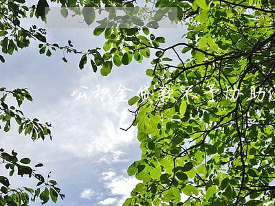 公积金贷款不予协助法院执行 公积金贷款不予协助法院执行