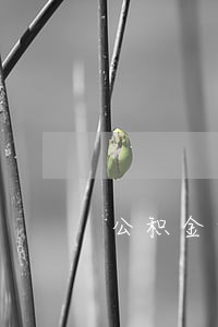 公积金贷款不小心逾期了