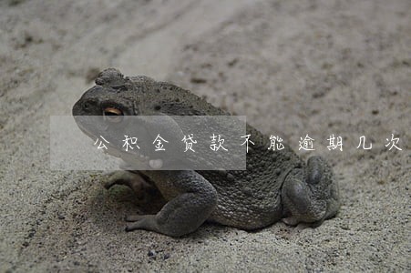 公积金贷款不能逾期几次 公积金贷款不能逾期几次
