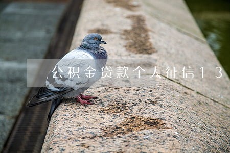 公积金贷款个人征信13次逾期 公积金贷款个人征信13次逾期
