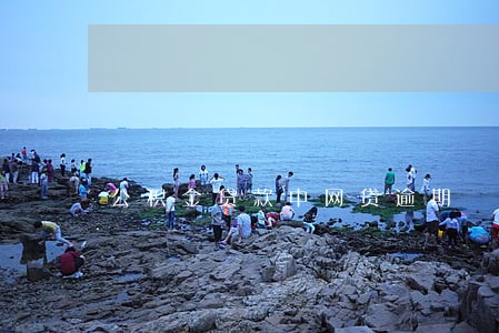 公积金贷款中网贷逾期 公积金贷款中网贷逾期