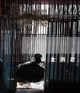 公积金贷款买房有逾期 公积金贷款买房有逾期