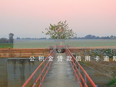 公积金贷款信用卡逾期新政策 公积金贷款信用卡逾期新政策