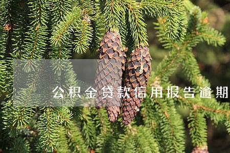 公积金贷款信用报告逾期 公积金贷款信用报告逾期
