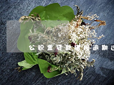 公积金贷款借呗逾期过 公积金贷款借呗逾期过