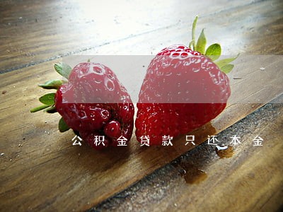 公积金贷款只还本金 公积金贷款只还本金