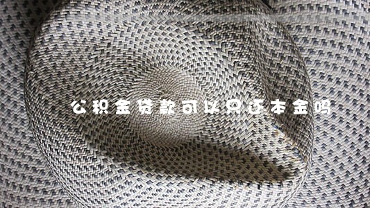 公积金贷款可以只还本金吗 公积金贷款可以只还本金吗