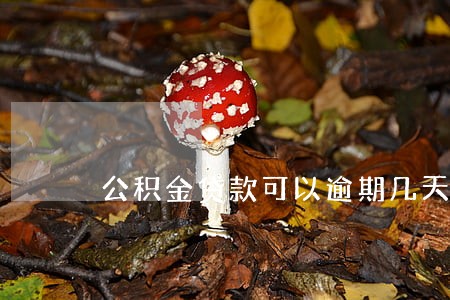 公积金贷款可以逾期几天还款 公积金贷款可以逾期几天还款