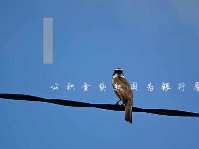 公积金贷款因为银行原因逾期 公积金贷款因为银行原因逾期