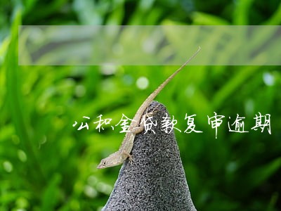 公积金贷款复审逾期 公积金贷款复审逾期