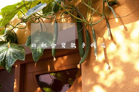 公积金贷款多次还款逾期 公积金贷款多次还款逾期