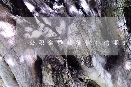公积金贷款征信有逾期6次 公积金贷款征信有逾期6次