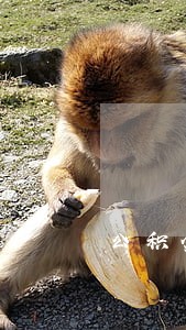 公积金贷款征信逾期1次
