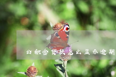 公积金贷款怎么显示逾期 公积金贷款怎么显示逾期