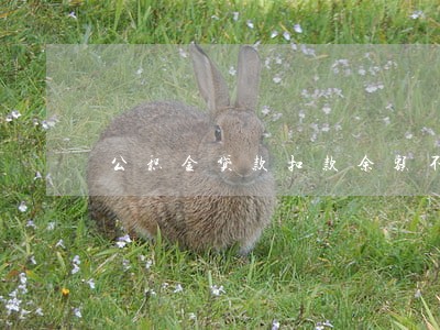 公积金贷款扣款余额不足逾期 公积金贷款扣款余额不足逾期