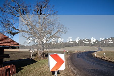 公积金贷款提前还款只还本金吗 公积金贷款提前还款只还本金吗
