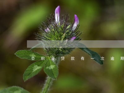 公积金贷款有一次逾期一个月 公积金贷款有一次逾期一个月