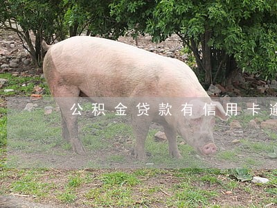 公积金贷款有信用卡逾期记录 公积金贷款有信用卡逾期记录