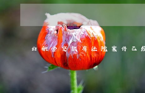 公积金贷款有法院案件已经处理了 公积金贷款有法院案件已经处理了