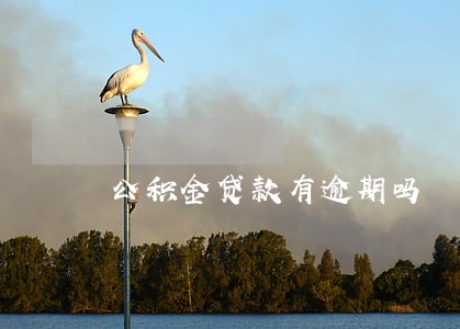 公积金贷款有逾期吗 公积金贷款有逾期吗