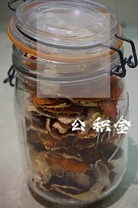 公积金贷款有逾期记录吗 公积金贷款有逾期记录吗
