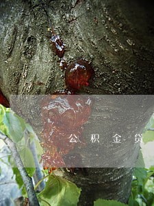 公积金贷款有逾期还能否提取 公积金贷款有逾期还能否提取