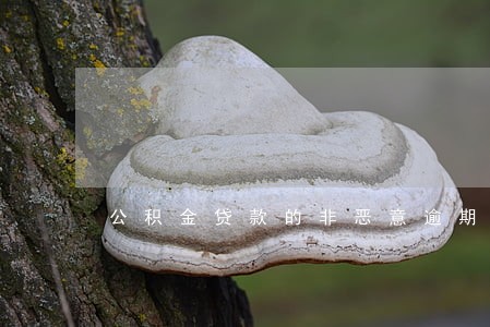公积金贷款的非恶意逾期证明 公积金贷款的非恶意逾期证明
