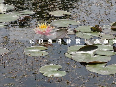 公积金贷款累计逾期2次 公积金贷款累计逾期2次