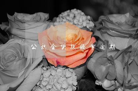公积金贷款经常逾期