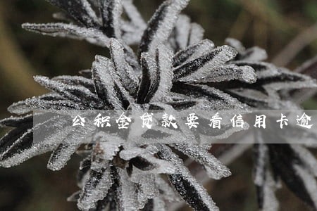 公积金贷款要看信用卡逾期吗