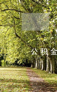 公积金贷款贷记卡逾期月份1 公积金贷款贷记卡逾期月份1