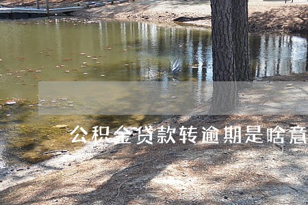 公积金贷款转逾期是啥意思 公积金贷款转逾期是啥意思