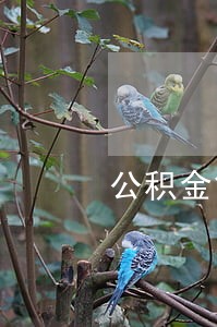公积金贷款还款逾期一天 公积金贷款还款逾期一天