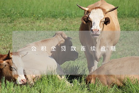 公积金贷款连续逾期 公积金贷款连续逾期