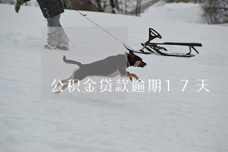公积金贷款逾期17天 公积金贷款逾期17天