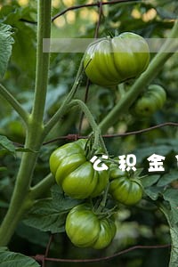 公积金贷款逾期1天无法取 公积金贷款逾期1天无法取