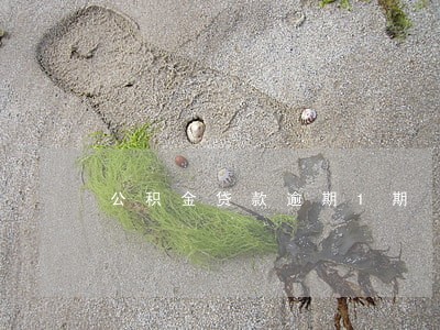 公积金贷款逾期1期 公积金贷款逾期1期