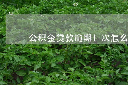 公积金贷款逾期1次怎么办 公积金贷款逾期1次怎么办