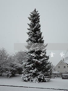 公积金贷款逾期1次怎么消除