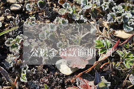 公积金贷款逾期1此 公积金贷款逾期1此