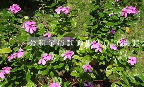 公积金贷款逾期200块怎么算 公积金贷款逾期200块怎么算