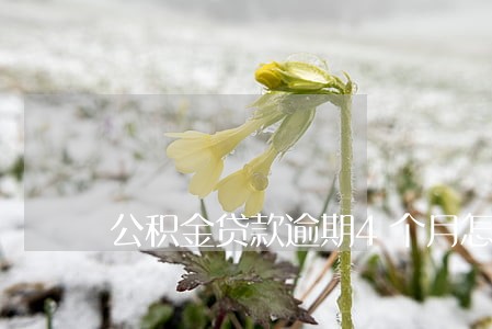 公积金贷款逾期4个月怎么办 公积金贷款逾期4个月怎么办